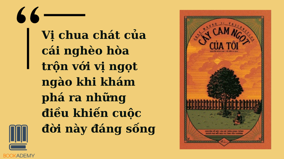 Cây Cam Ngọt Của Tôi - Tóm Tắt Gallery 1