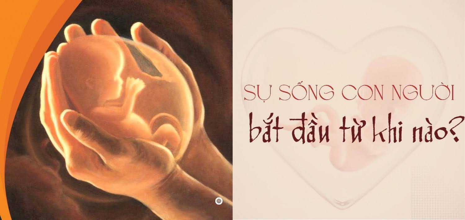 Sự sống kỳ diệu Gallery 1