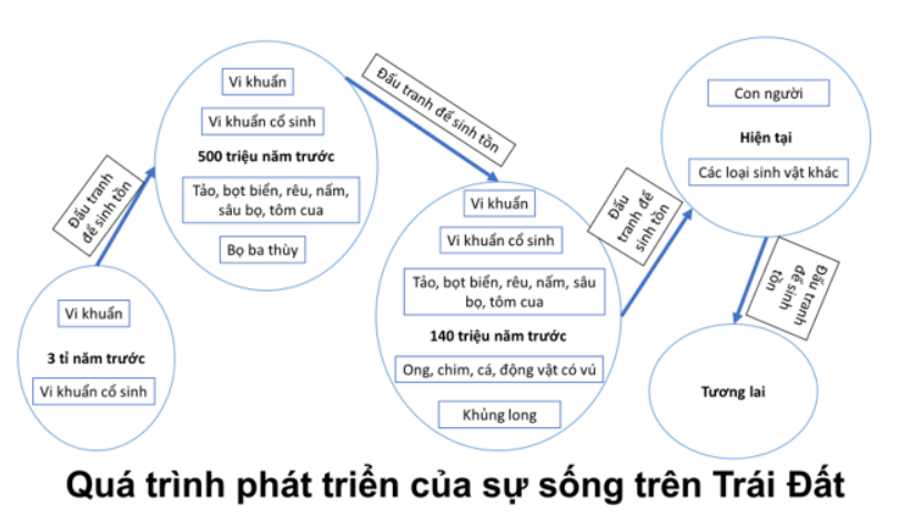 Soạn Sự Sống và Cái Chết Gallery 1