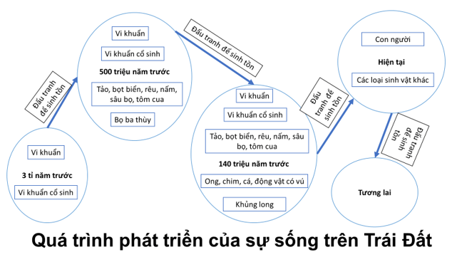 Sự sống và cái chết kết nối tri thức Gallery 1