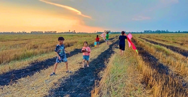 Mùa Xuân Trên Cánh Đồng Gallery 2