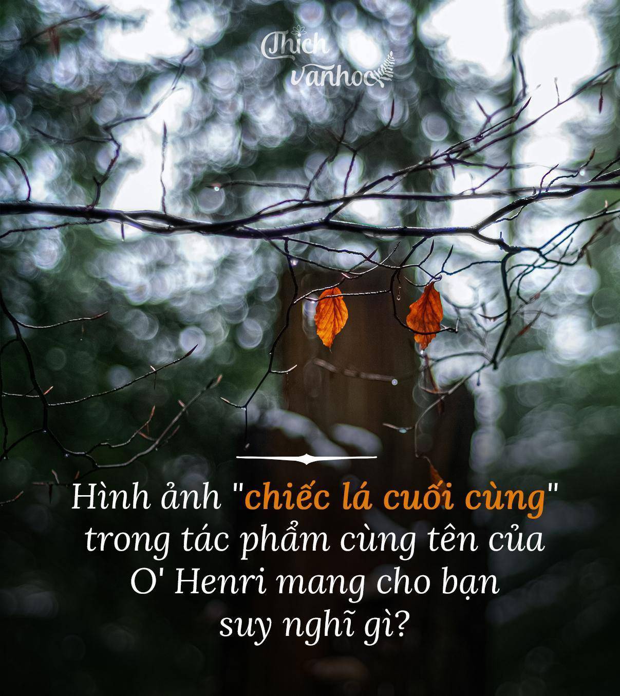 Ý nghĩa nhan đề Chiếc lá cuối cùng Gallery 1