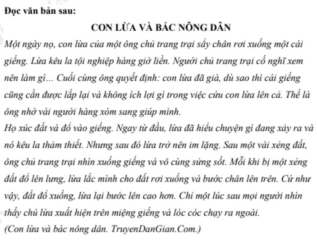 Bài học từ câu chuyện con lừa già và người nông dân Gallery 2