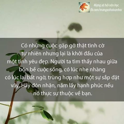 Chẳng Có Cuộc Gặp Gỡ Nào Là Tình Cờ Gallery 1