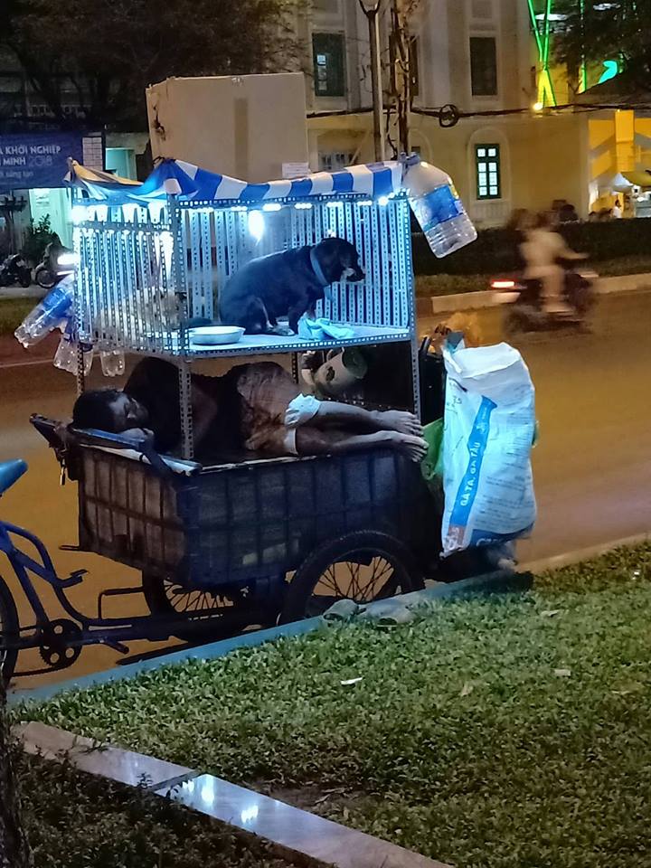 Chó Không Chê Chủ Nghèo: Sự Trung Thành Vượt Lên Trên Vật Chất Gallery 1