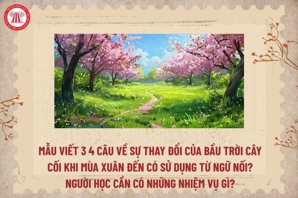 Xuân Về Cho Cây Xanh Lá Gallery 1