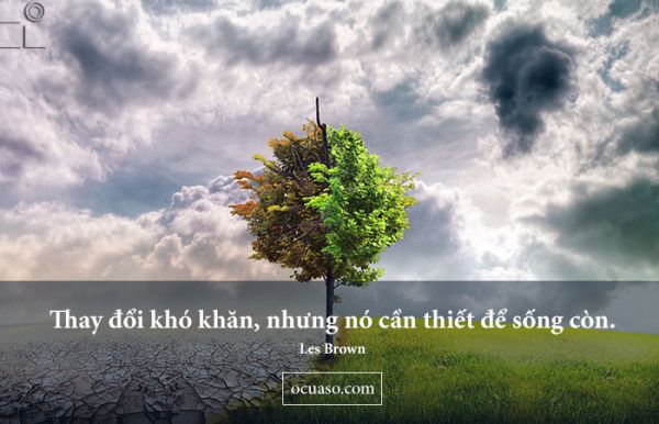 Sự Thay Đổi Trong Cuộc Sống: Vượt Qua Thử Thách, Chào Đón Cơ Hội