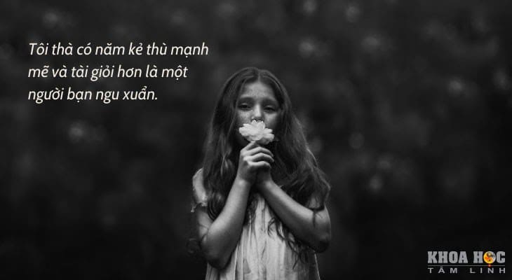 100 Câu Nói Về Sự Ngu Dốt Gallery 1