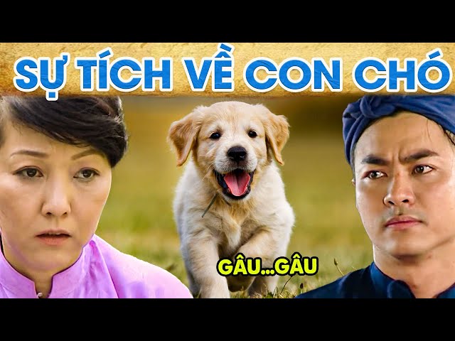 Sự Tích Con Chó: Nguồn Gốc Và Ý Nghĩa