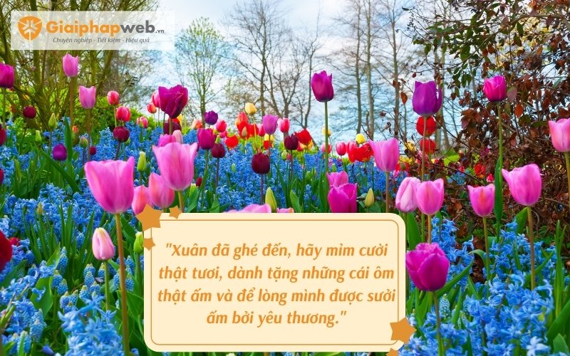 Mùa Xuân Đã Đến Cho Đời Xanh Tươi Hy Vọng Gallery 1