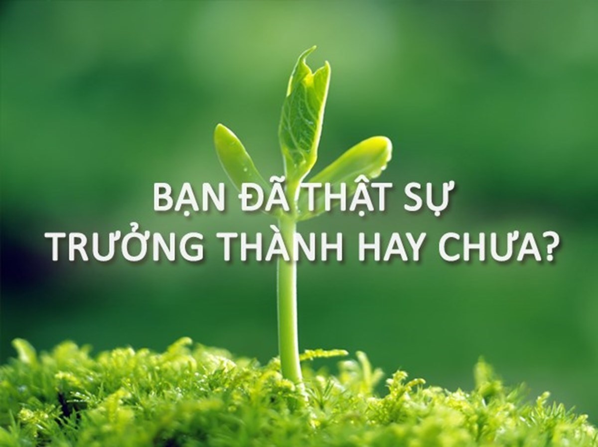 Sự trưởng thành là gì?