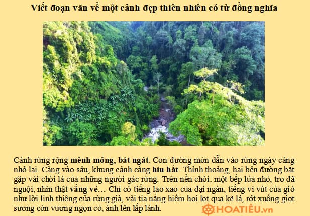Bài Văn Tả Về Thiên Nhiên Gallery 2