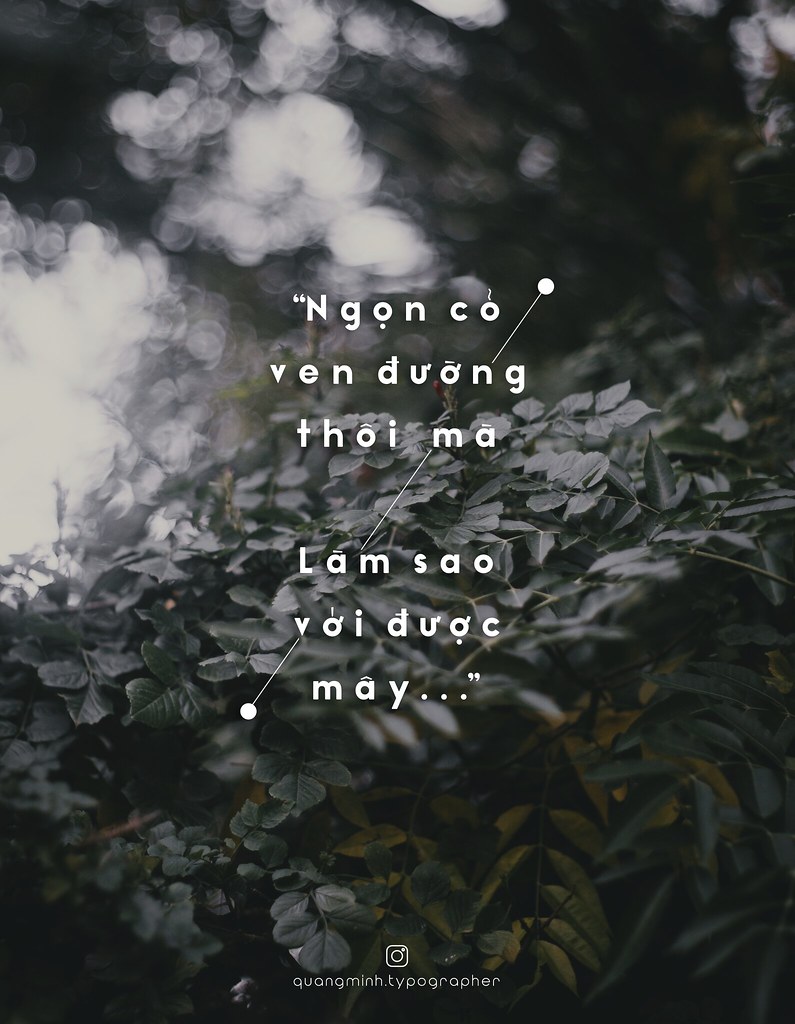 Ngọn cỏ ven đường thôi mà làm sao với được mây Gallery 1