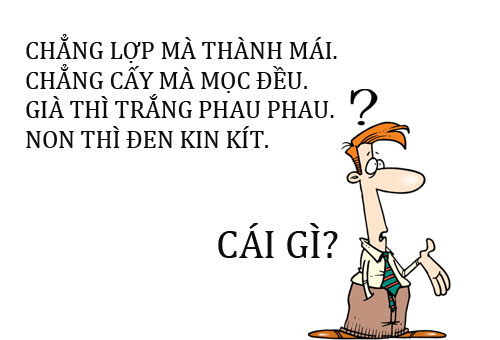 Ao Tròn Vành Vạnh Gallery 2