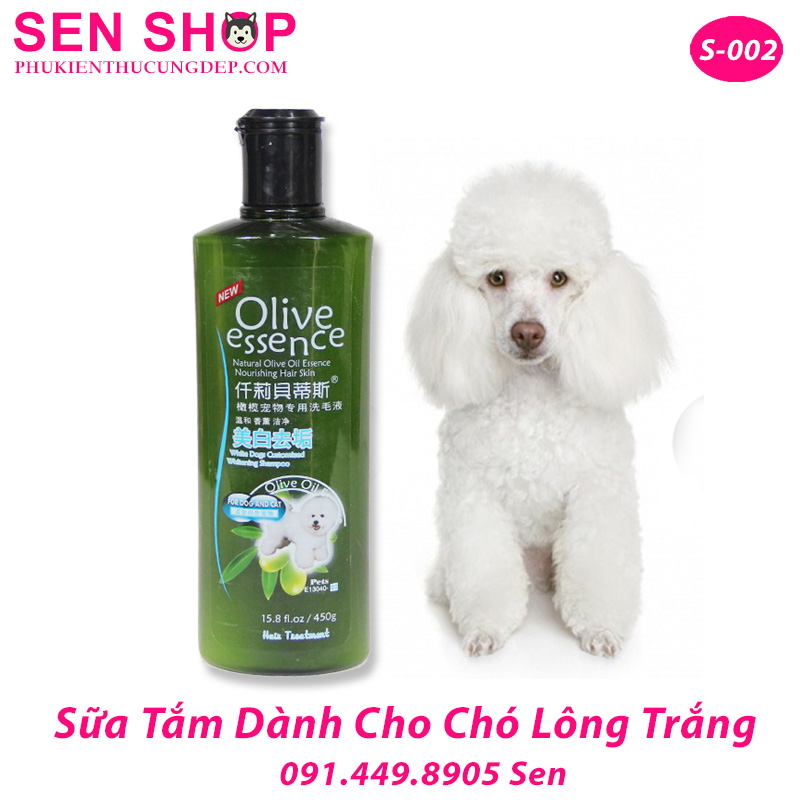 Sữa Tắm Cho Chó Poodle Trắng: Bí Quyết Giữ Bộ Lông Xù Mượt Mà Trắng Sáng