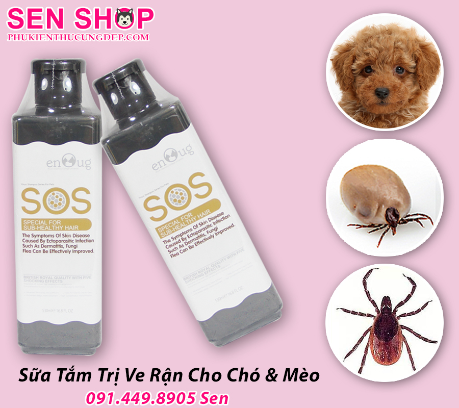 Sữa Tắm Trị Ve Chó Hiệu Quả, An Toàn Cho Cún Yêu