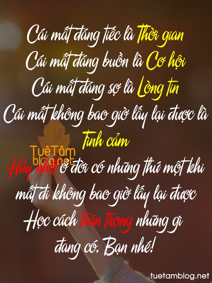 Những Thứ Mất Đi Không Bao Giờ Lấy Lại Được Gallery 2