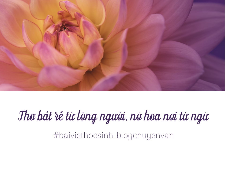 Thơ Khởi Phát Từ Lòng Người: Nguồn Cảm Hứng Vô Tận Của Thi Ca Gallery 2