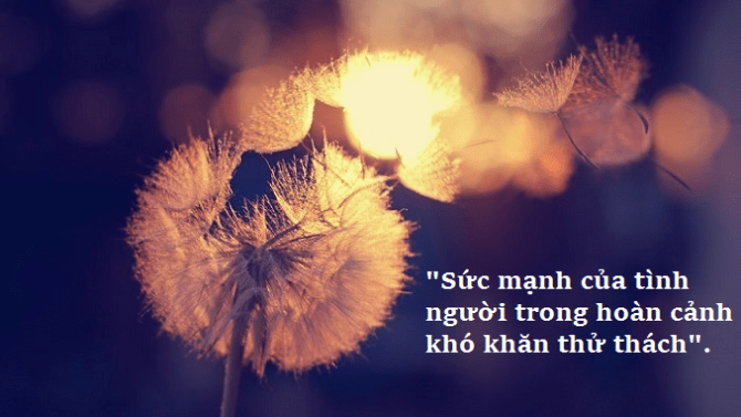 Sức mạnh của tình người trong hoàn cảnh khó khăn