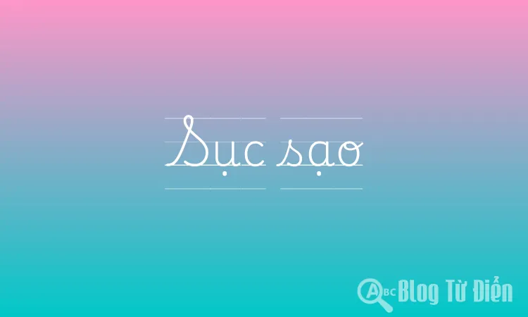 Sục sạo là gì?