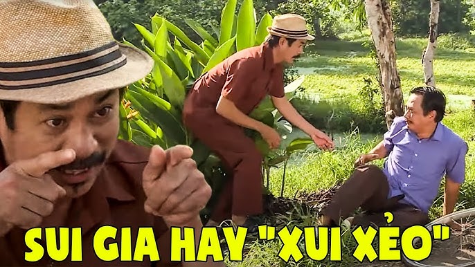 Sui hay Xui Xẻo? Tìm Hiểu Về May Mắn và Xui Xẻo
