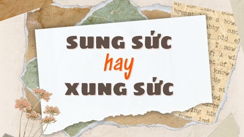Sung sức hay xung sức?