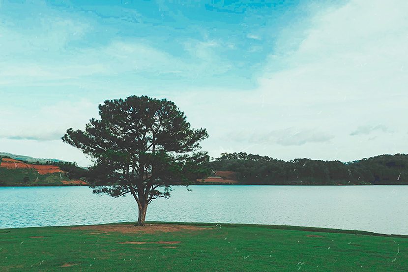 Suối Vàng Suối Bạc Đà Lạt - Thiên Đường Thuở Tiên