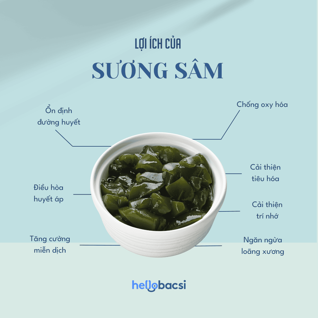 Sương Sâm Có Tác Dụng Gì?