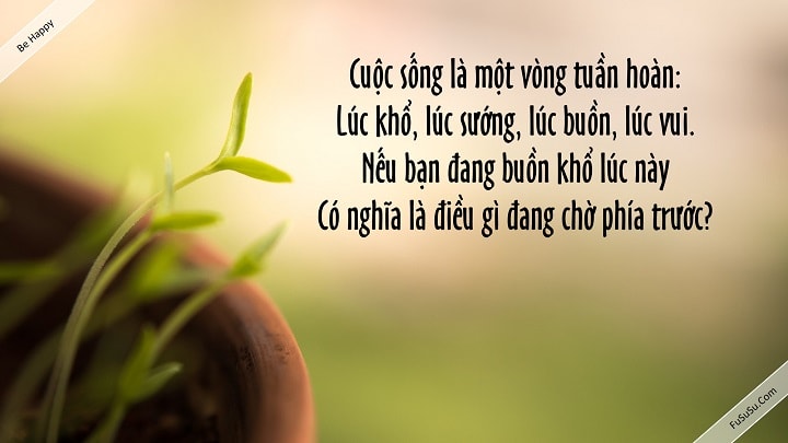 Cuộc sống phù du: Sướng vui hay buồn? Gallery 2