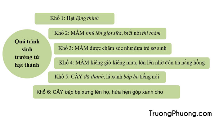 Suy ngẫm và phản hồi lời của cây