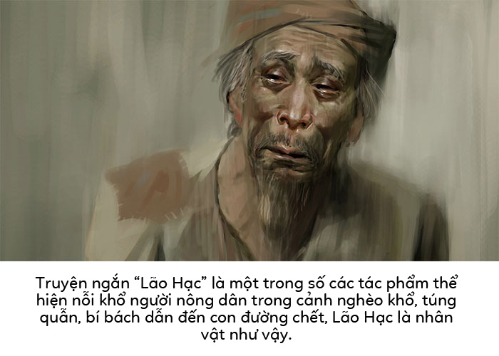 Suy nghĩ của em về truyện ngắn Lão Hạc
