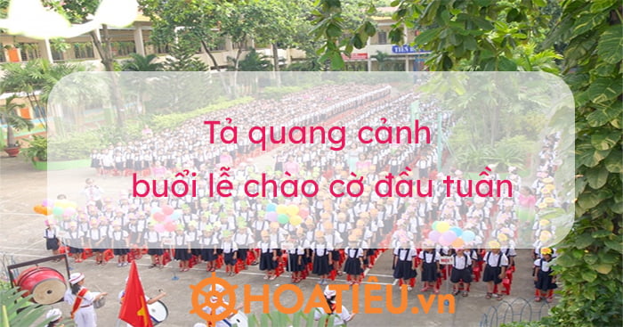 Biểu Cảm Về Lễ Chào Cờ Lớp 7 Gallery 2