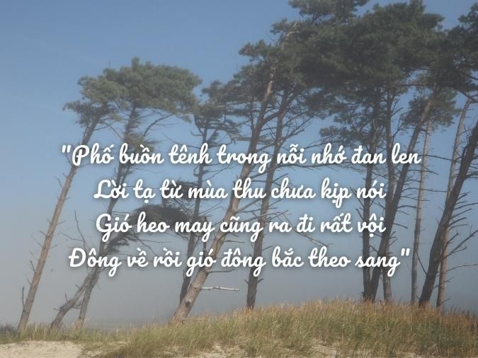 Gió Đông Qua Trước Hiên Nhà Gallery 2
