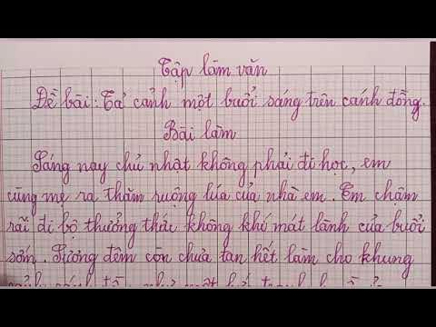 Tả cảnh buổi sáng trên cánh đồng