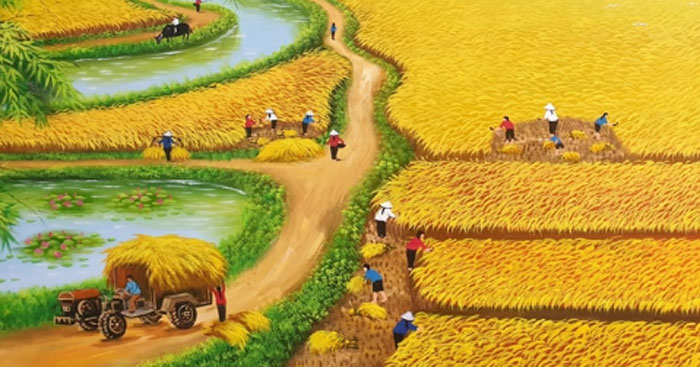 Cách Tả Cánh Đồng Gallery 1