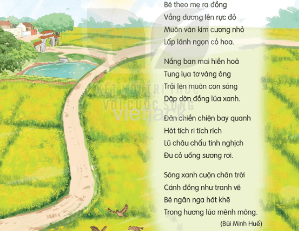 Tả cánh đồng quê hương em