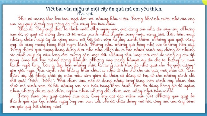 Cây Xoài Yêu Thích Của Tôi