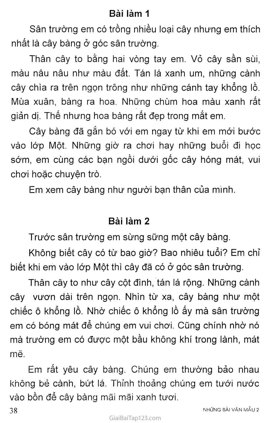 Tả cây bóng mát ở sân trường em Gallery 1
