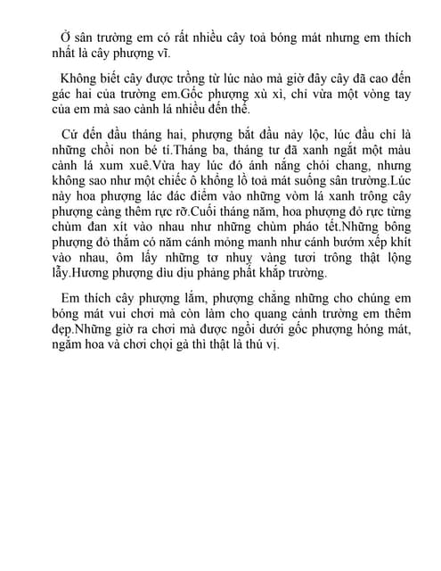 Tả cây phượng trường em