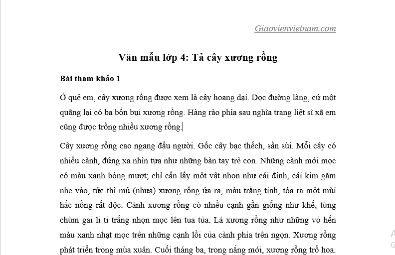 Tả cây xương rồng lớp 4
