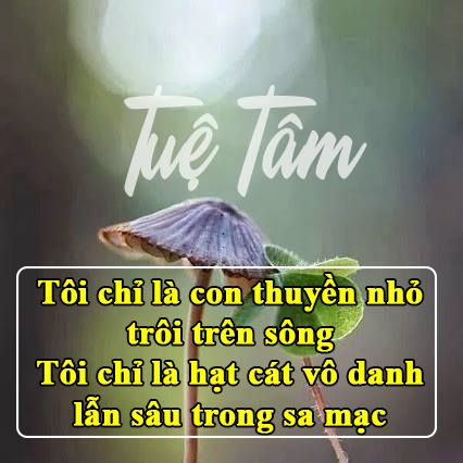 Ta Chỉ Là Hạt Cát Trong Sa Mạc Mênh Mông