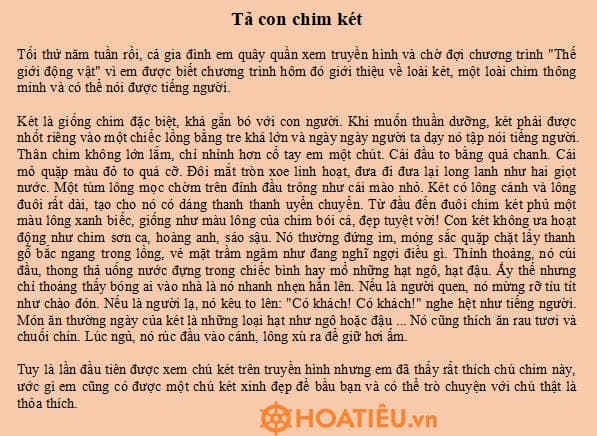 Tả Con Vật Trên Truyền Hình