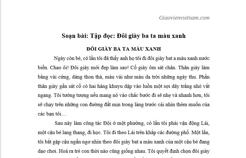 Đôi Giày Yêu Thích Của Tôi