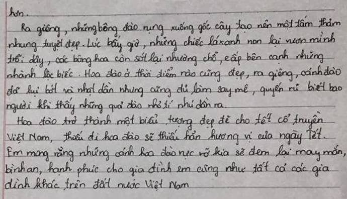 Tả Hoa Đào Ngắn Gọn