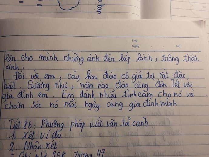 Tả Hoa Đào Ngắn Gọn Gallery 2