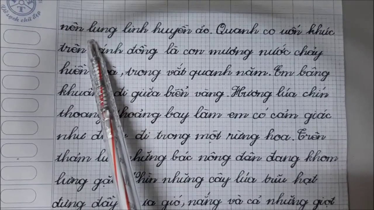 Cánh đồng quê hương - vẻ đẹp bình yên giữa lòng đất nước