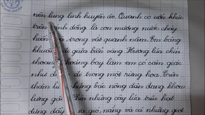 Tả một cánh đồng