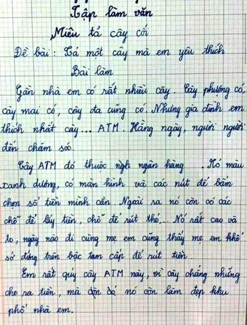 Tả một cây có bóng mát ngắn gọn