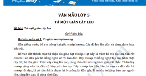 Tả giàn cây leo