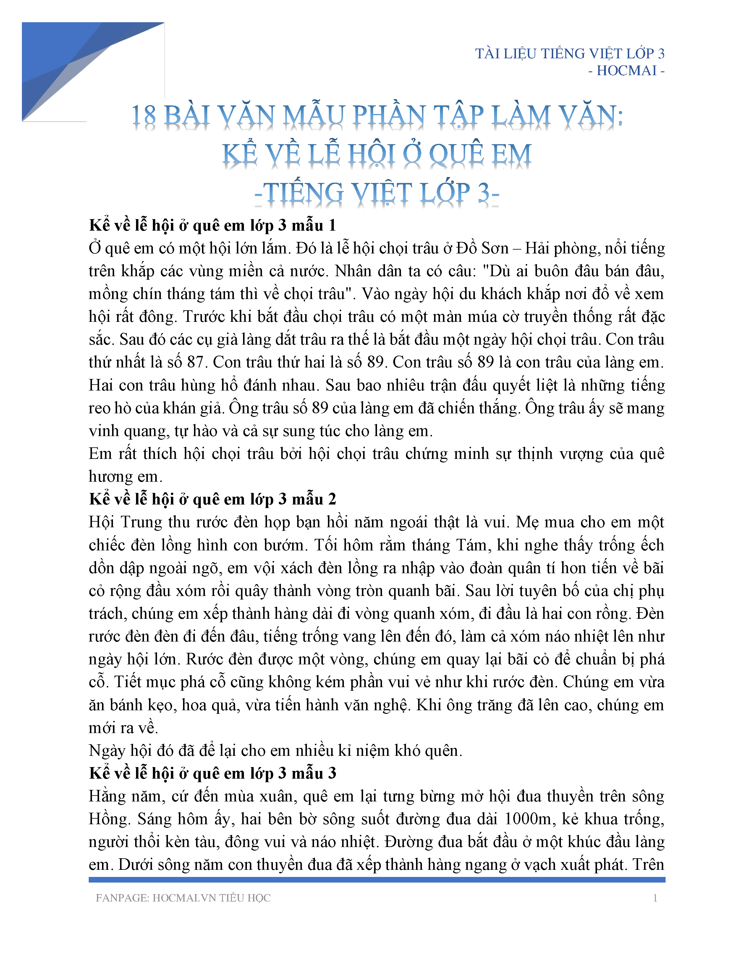 Lễ Hội Đèn Lồng Rực Rỡ Quê Tôi